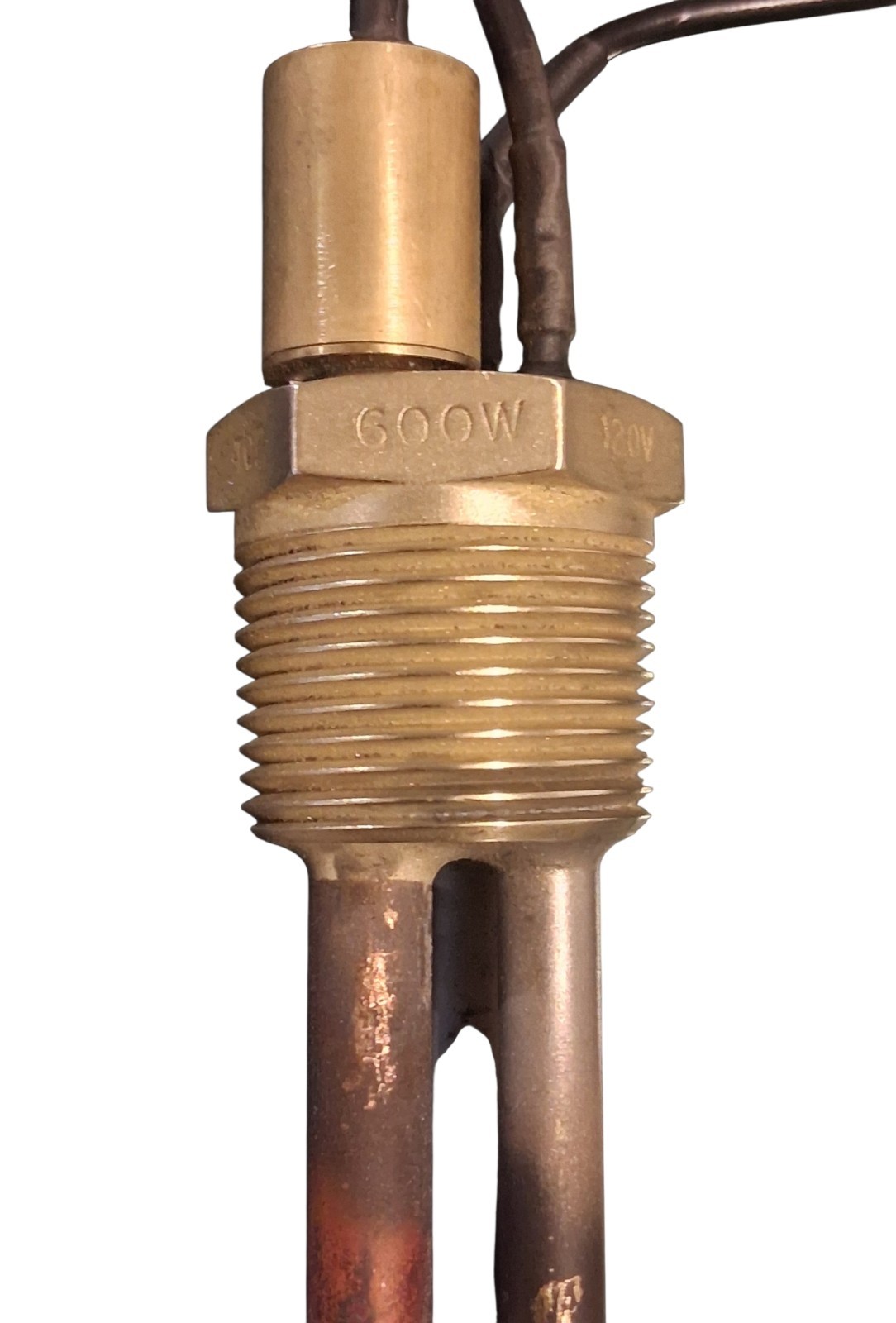 Vulcan 120V 600W Submersable Heating Element With Temp Sensor