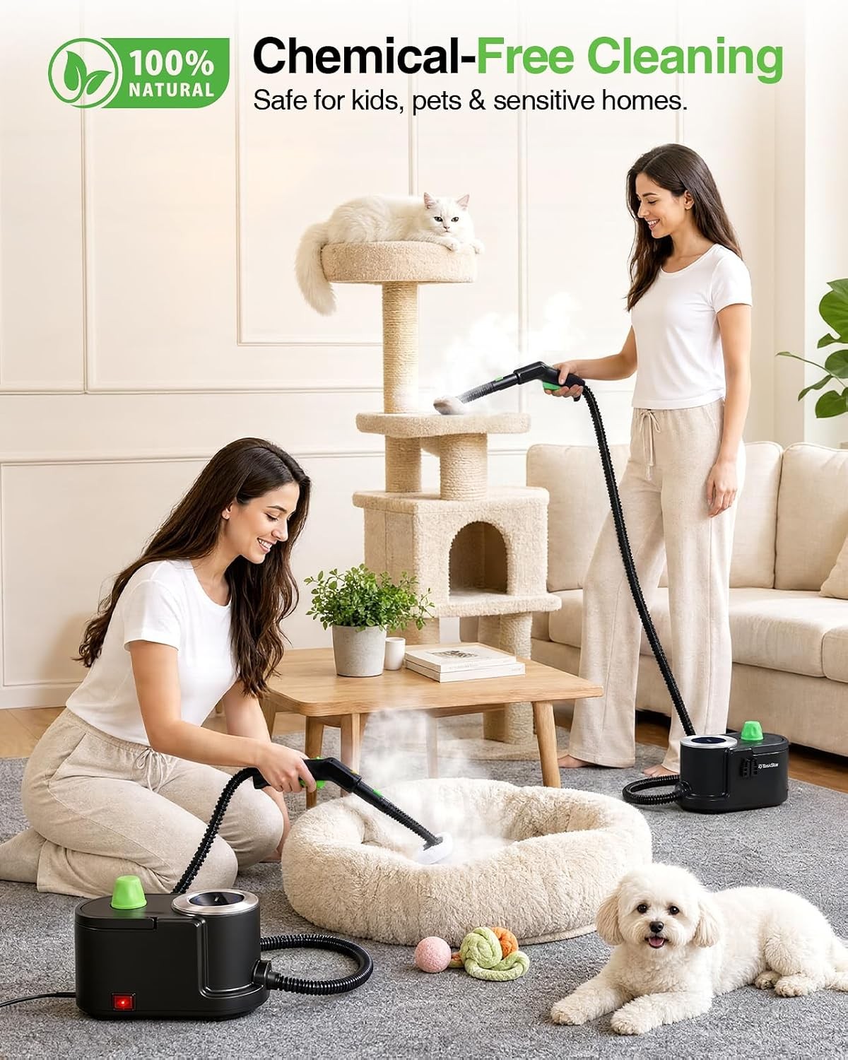Taskstar 1500w Powerful High Pressure Steam Cleaner for Deep Cleaning 22 Tools