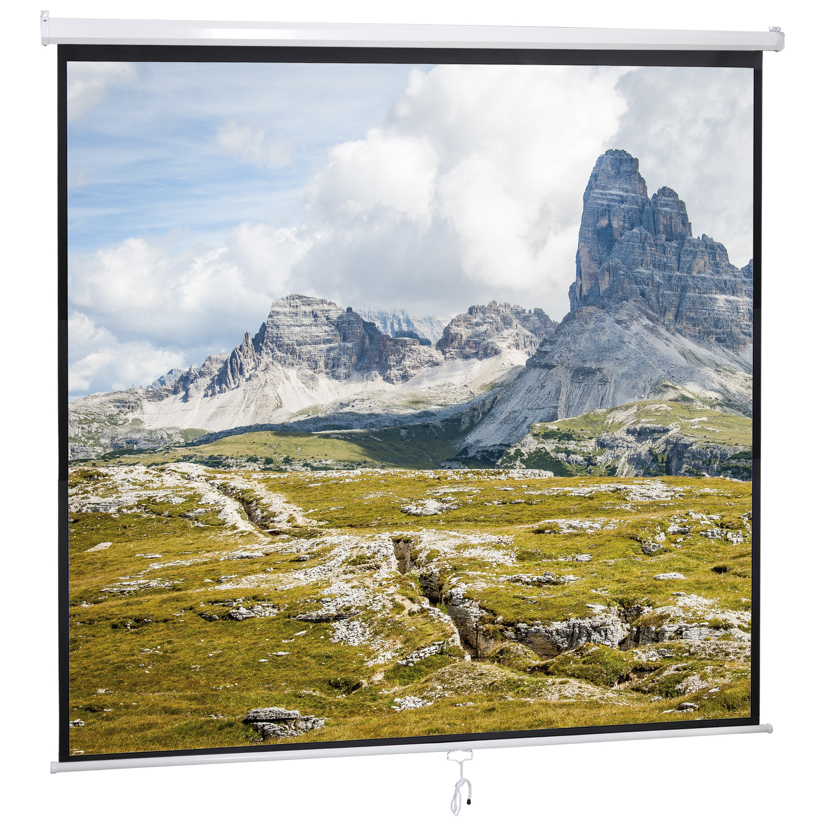 120» Projector Screen Projection Screen Manual Pull Down HD Screen 1:1 Format
