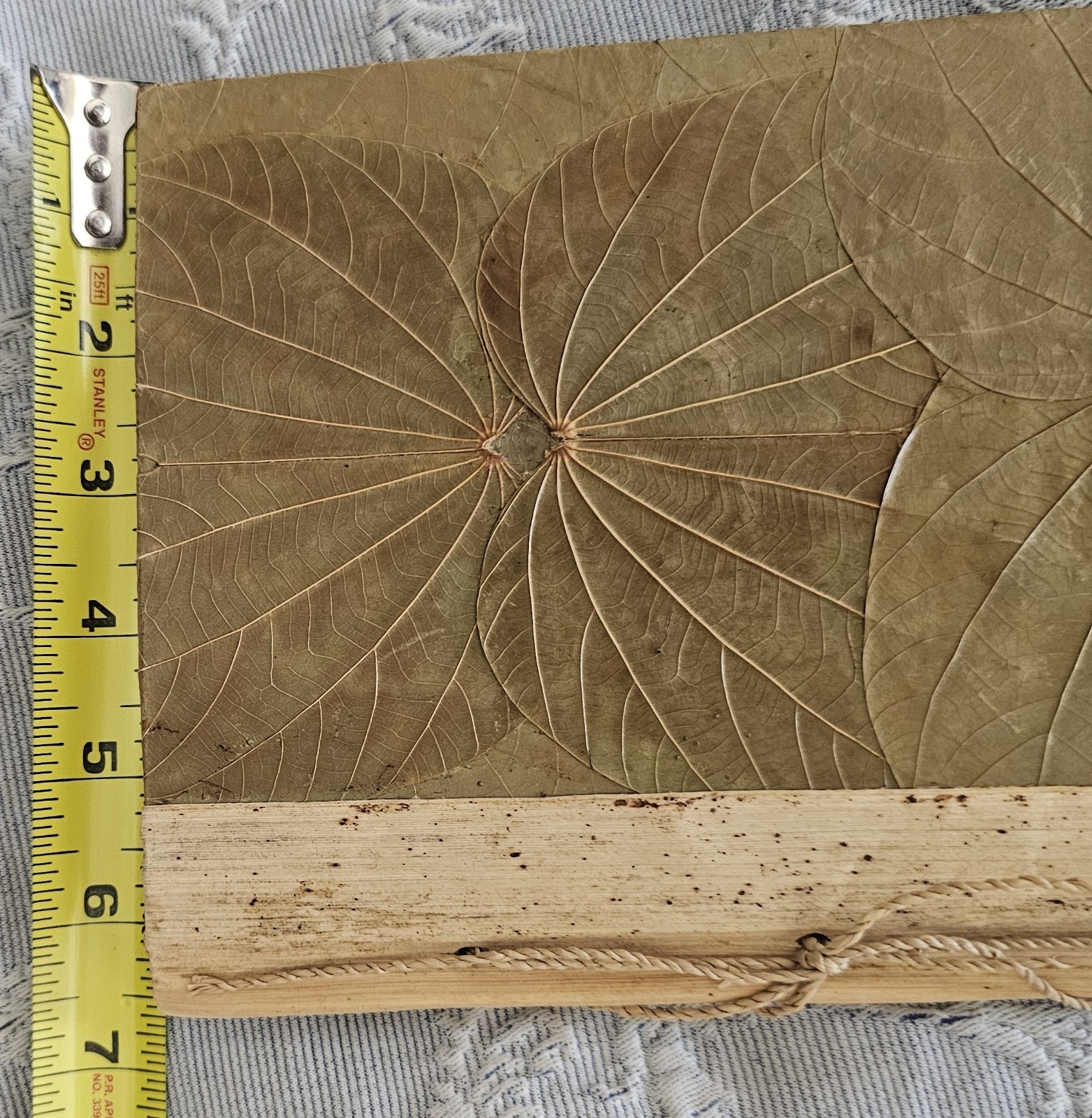 Artisan Handmade Pressed Leaf 7×9 Address Book Alphabetical Unused