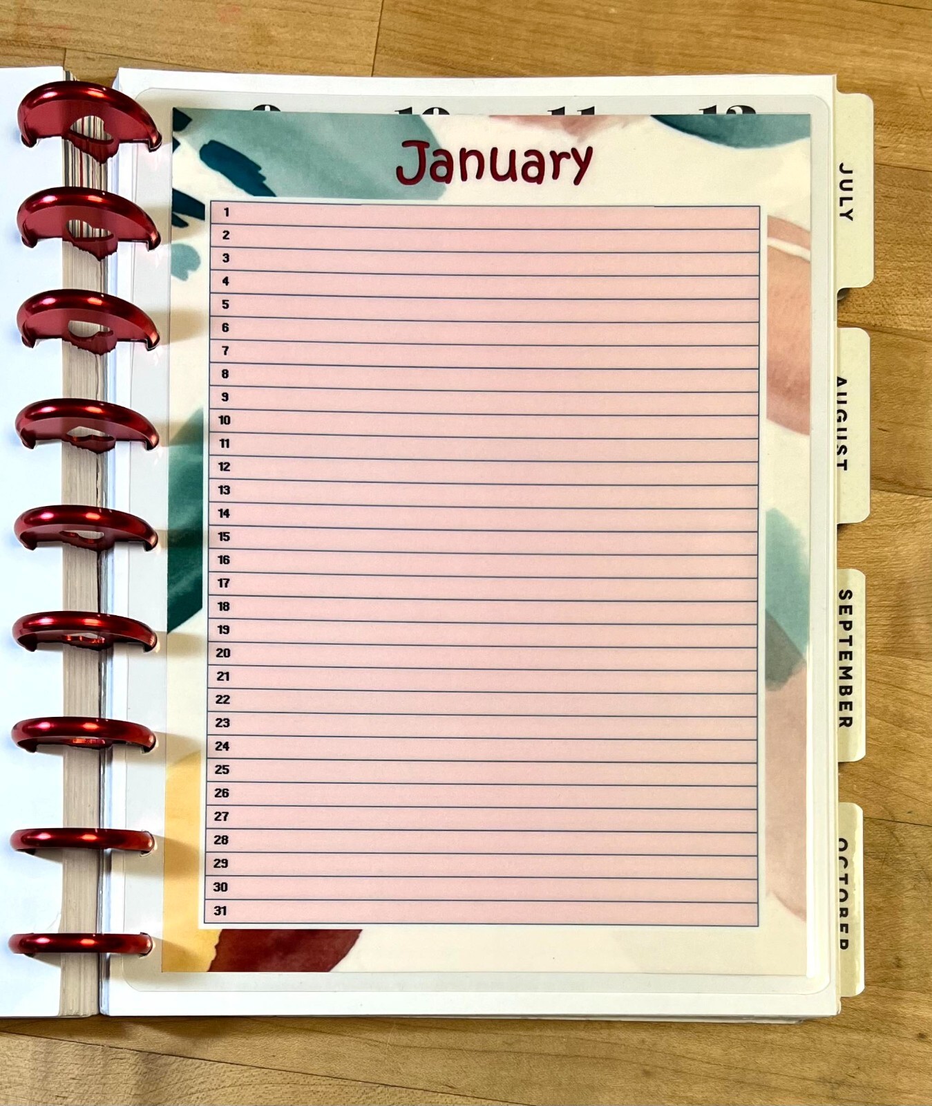 Set of 6 (Six) Month at a Glance Dashboard Inserts for use with Happy Planner-