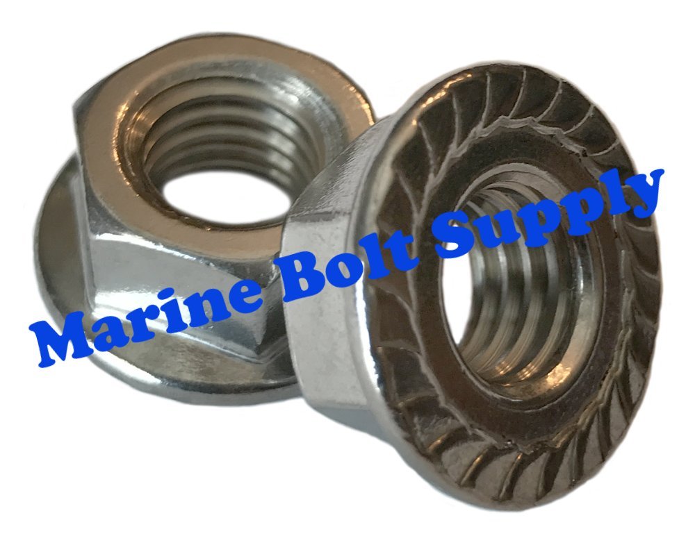 Type 18-8 Stainless Steel Serrated Flange Nuts (Sizes 6-32 to 1/2″)