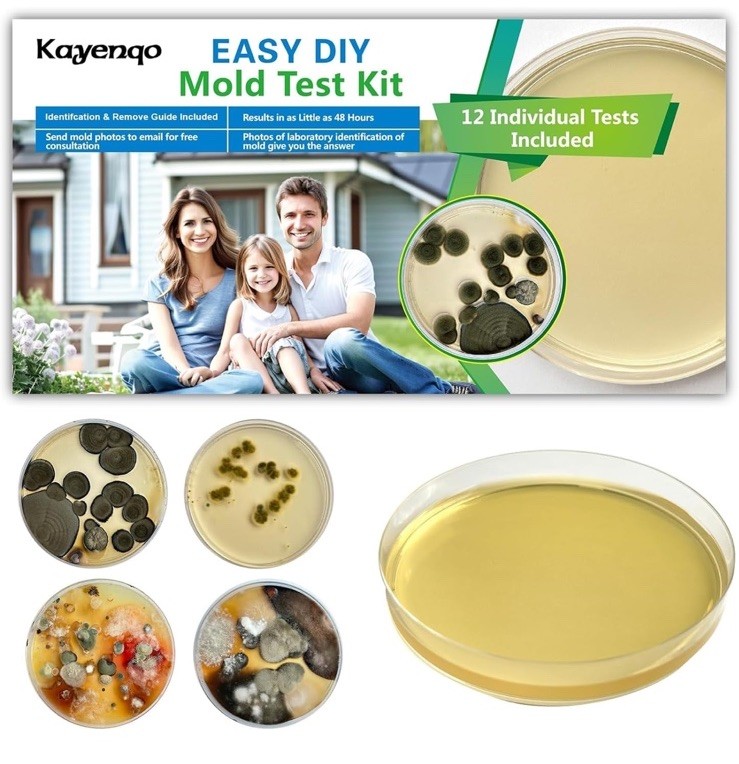 Mold Test Kit for Home – 12 Simple Detection Tests,Test HVAC System,Home Surf…