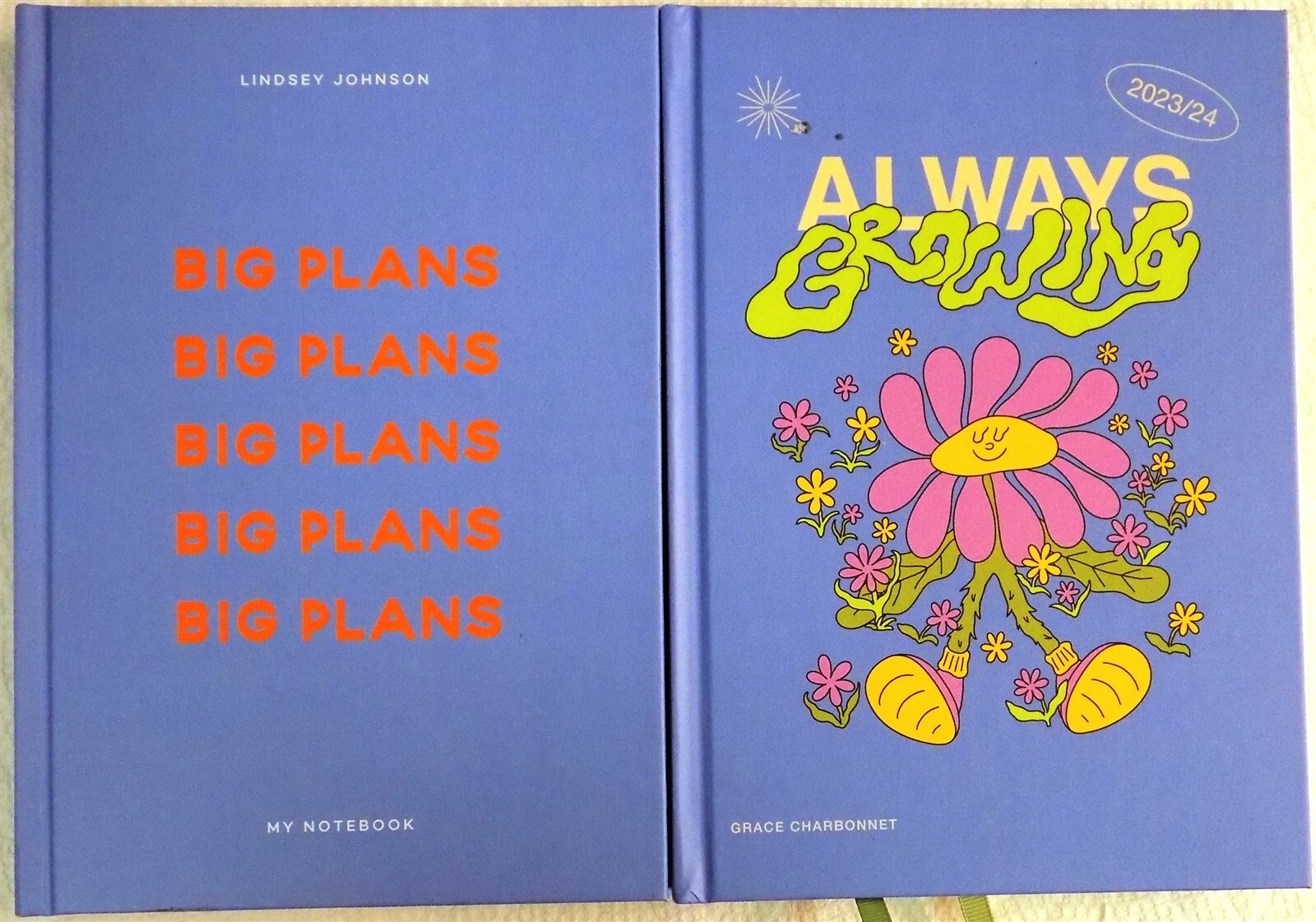 Lot of 2: Papier «Big Plans, And Always Growing» My Notebook/Academic Planner HC