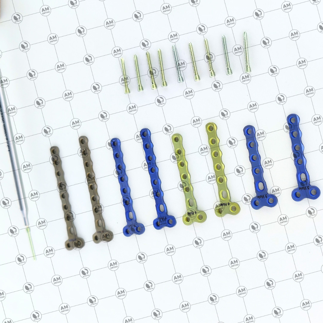 Veterinary 2.0mm Locking 2 Hole Head T Plates with Locking Screws 69 Pcs Set Ti