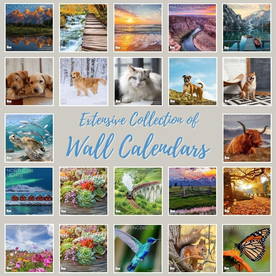 Rainbow Calendar July 2025- December 2026 Wall 18 Month | Rainbows