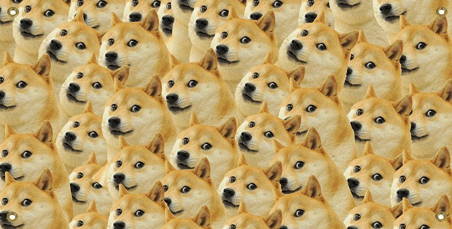 28″ x 60″ Full Color Doge Banner High Quality Vinyl w/ Grommets