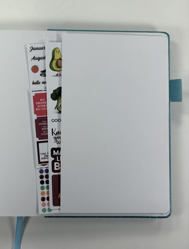 Clever Fox Food Sensitivity Journal Daily Nutrtion Tracker Teal Blue Never Used