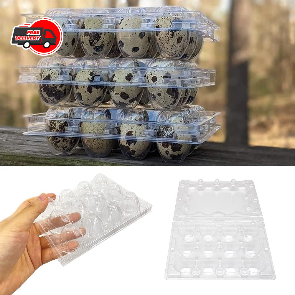 50 Pcs Quail Egg Cartons,12 Grids Small Egg Storage Holders,Quail Eggs Bulk Cart