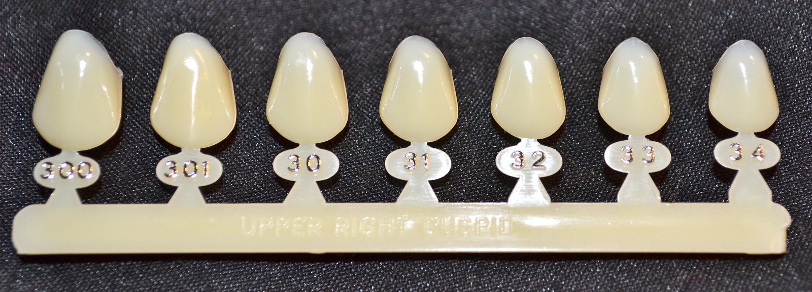 #6 Upper Right Cuspid tooth – Dental Polycarbonate Temporary Crowns 7 sizes