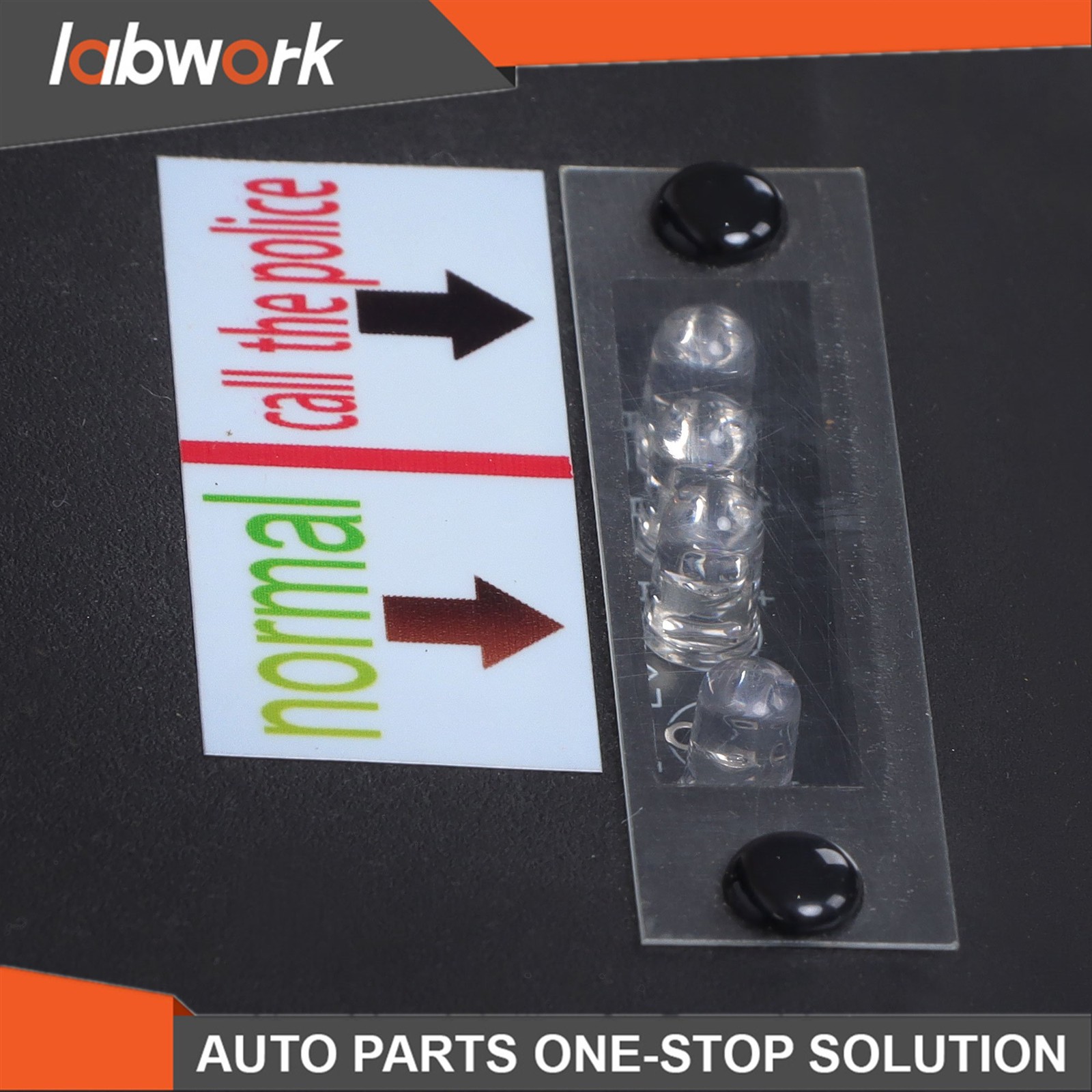 Labwork 2in1 Portable Electric Hoist Winch 1100lbs With Wireless Remote Control