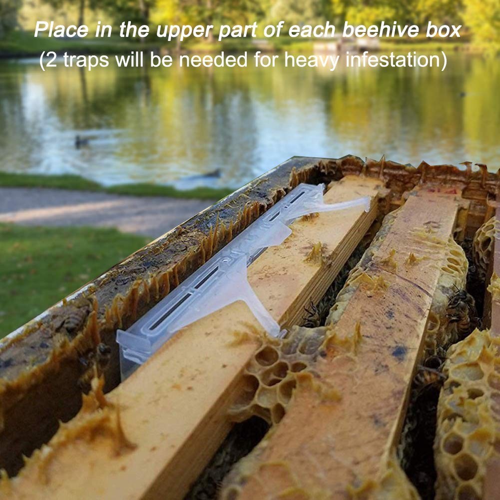 15 Pack Small Hive Beetle Traps for Beekeeping | Ultimate Prevention Tools & Sup