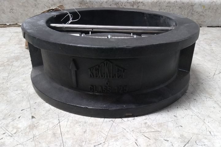 Keckley DD1F-CI-34136-600 6 In Pipe 720 GPM Cast Iron Body Check Valve