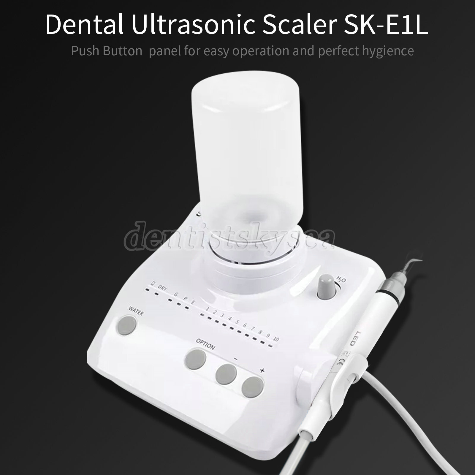 LED Dental Portable Ultrasonic Scaler 2*Bottles Fits EMS Woodpecker Handpiece US