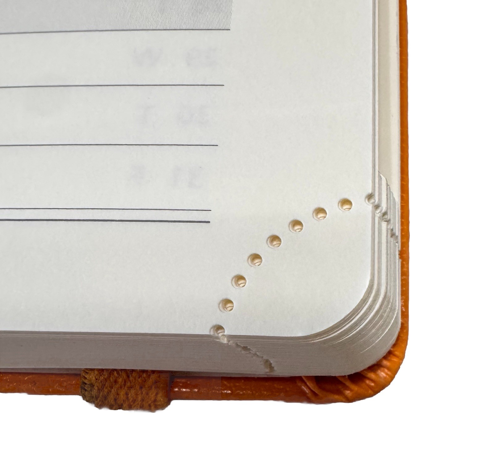 Poprun Vertical Weekly Planner Agenda 6.5×8.75 Orange Organizer