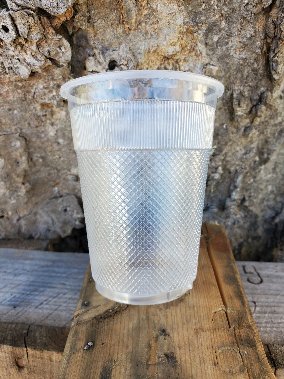 9 oz Plastic Cups Translucent Individually Wrapped Hotel Generic 1000 Pack