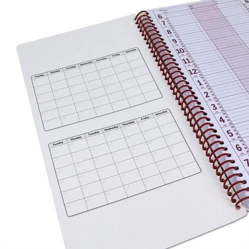 Portage Notebooks Appointment Book – Large 10″ x 13.5″ 5 Columns, Pink