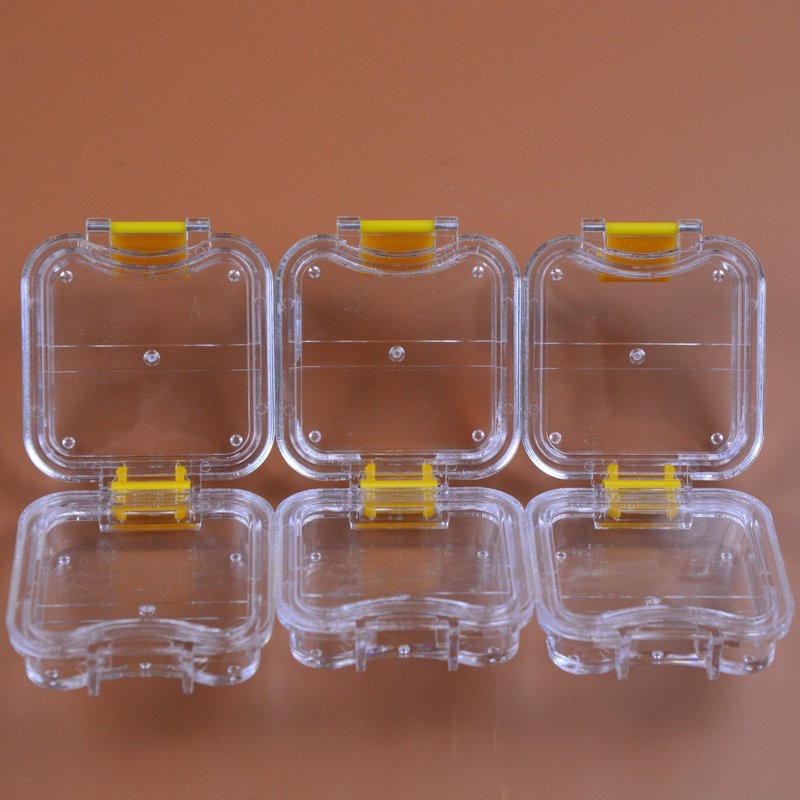 20pcs Denture False Teeth Membrane Case Container Hinged Display Box Jewelry USA