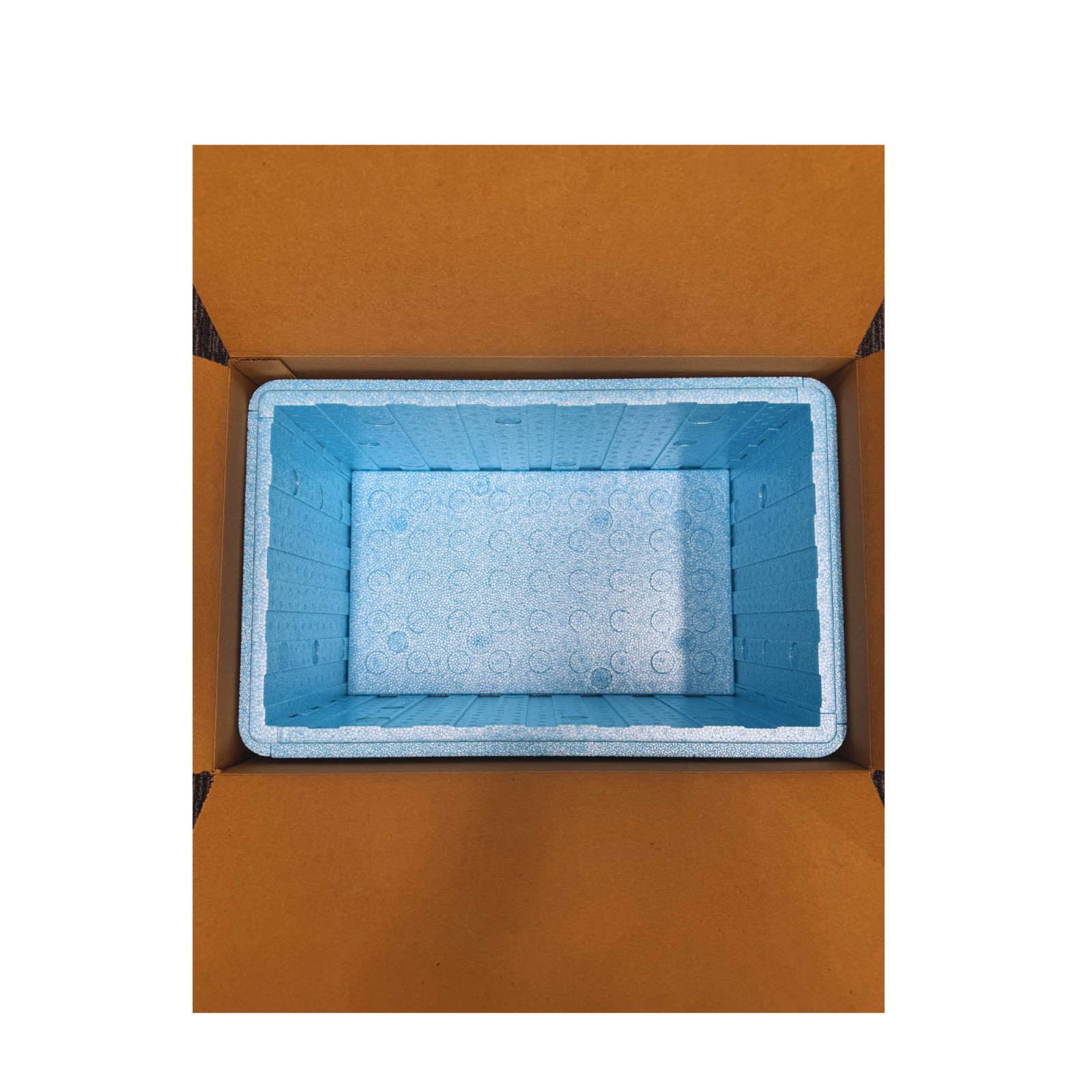 EPE USA Insulated Cold Shipping Box Foam Cooler ID: 17 ³⁄₁₆” x 10 ³⁄₁₆” x 8 ¼”