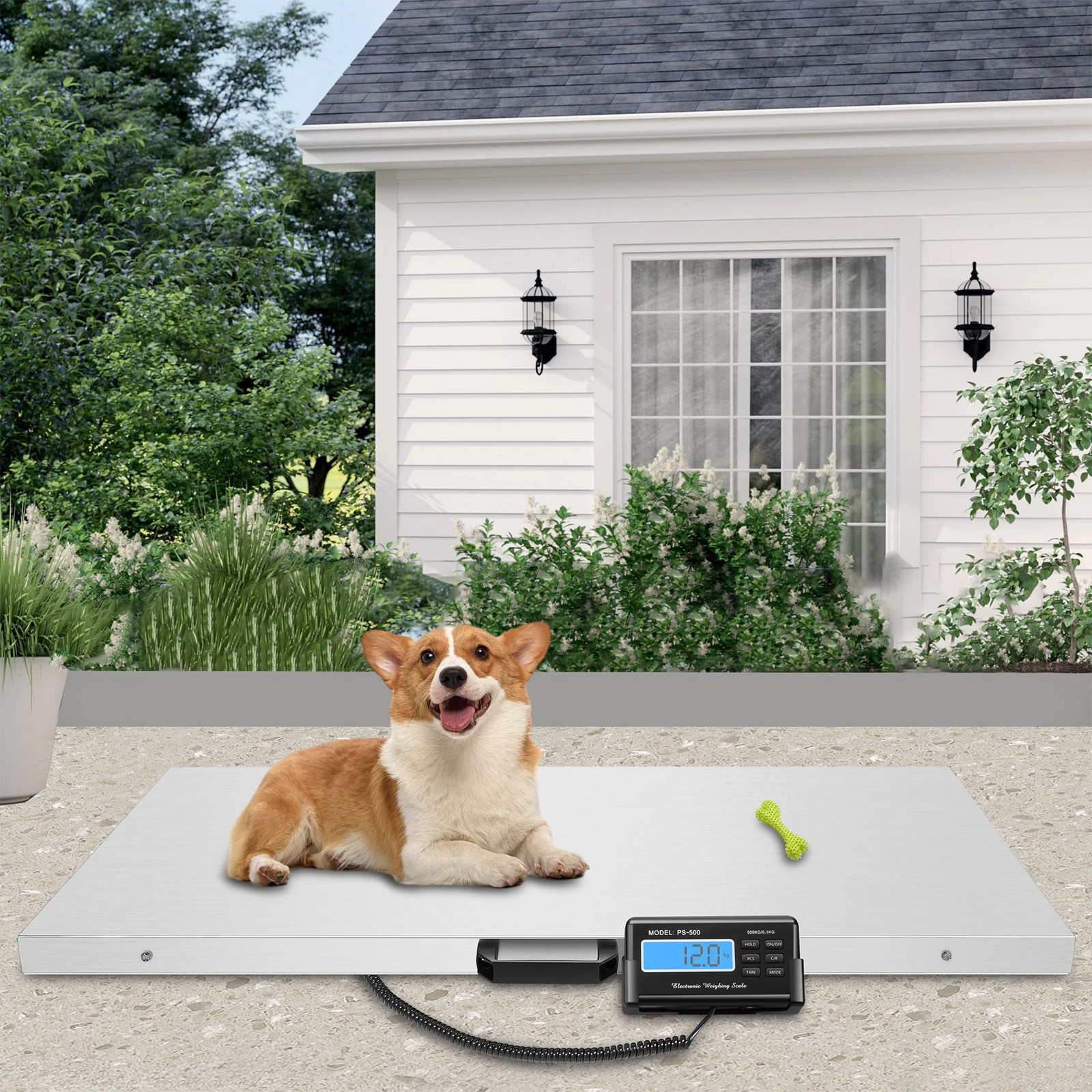 1100 Lbs Heavy Duty Digital Livestock Vet Scale Hog Pet Dog Sheep Goat Scale US
