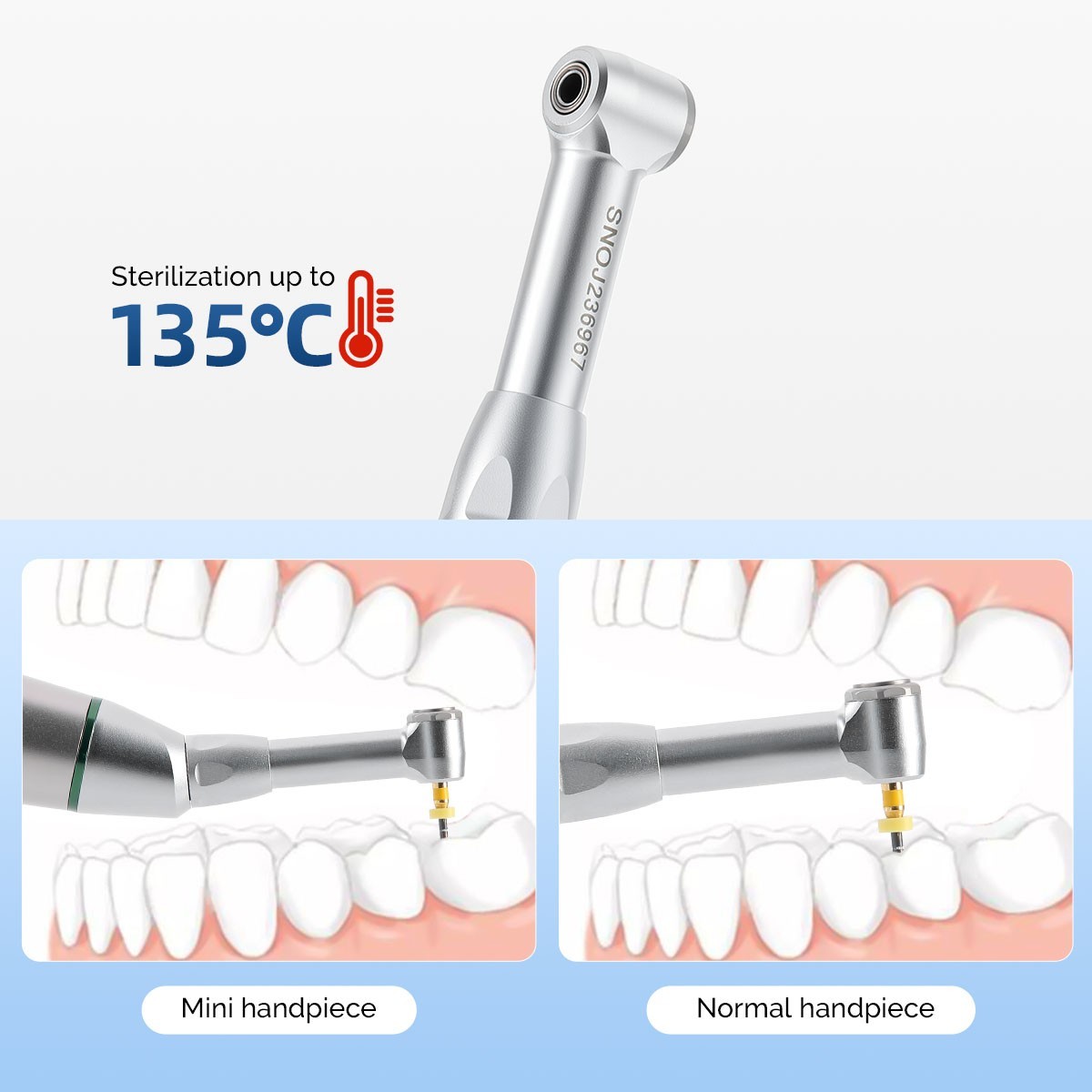 Dental Endo Motor 16:1 /Apex Locator Root Canal/Endodontic Taper NITI Rotar File
