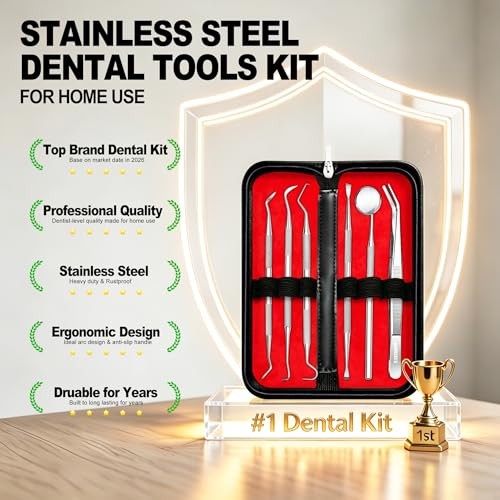 Dental Tools Pick Teeth Cleaning Hygiene Kit Plaque Remover for Steel