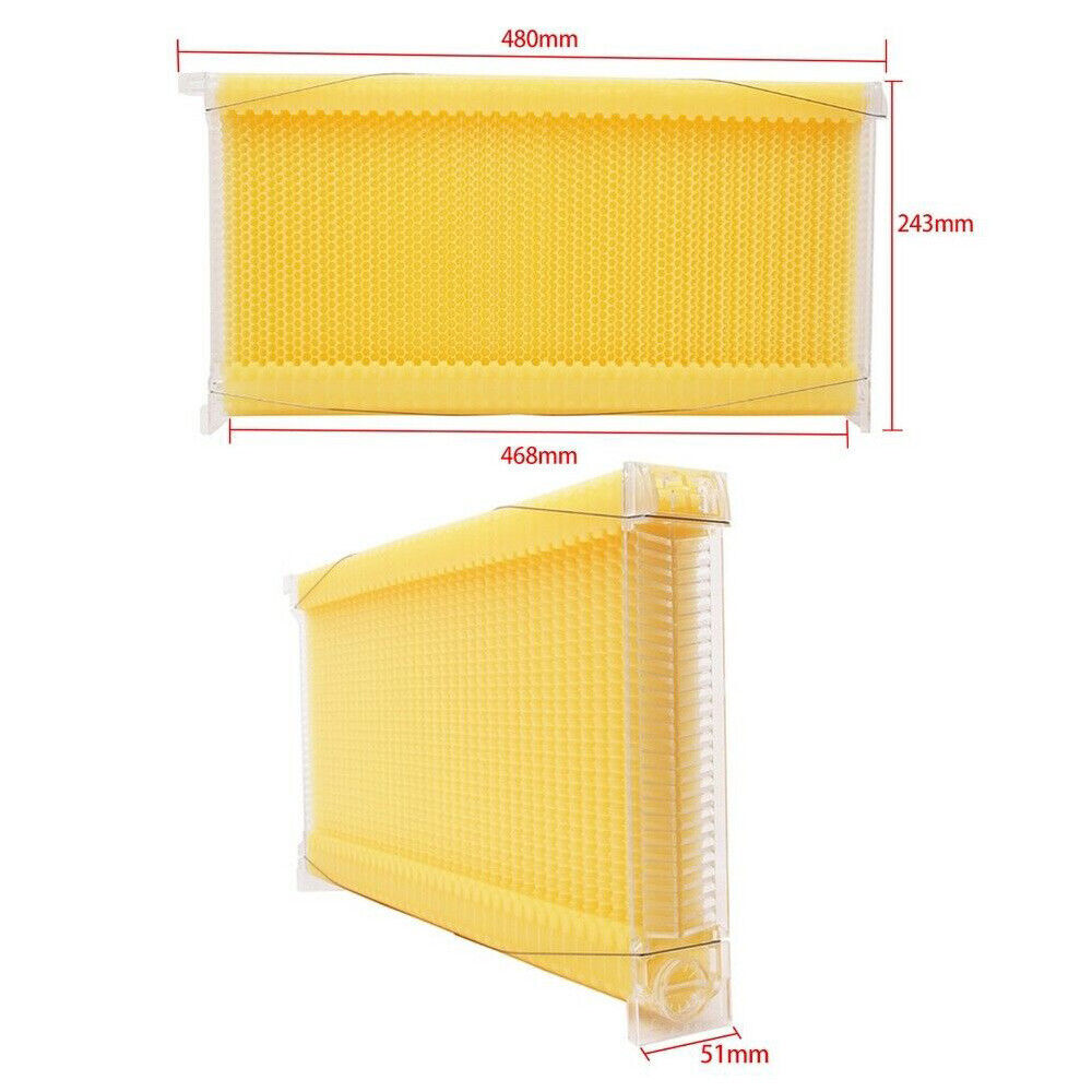 7Pcs Auto Seeping Honey Hive Beehive Frames + Beekeeping Wooden Cedarwood House