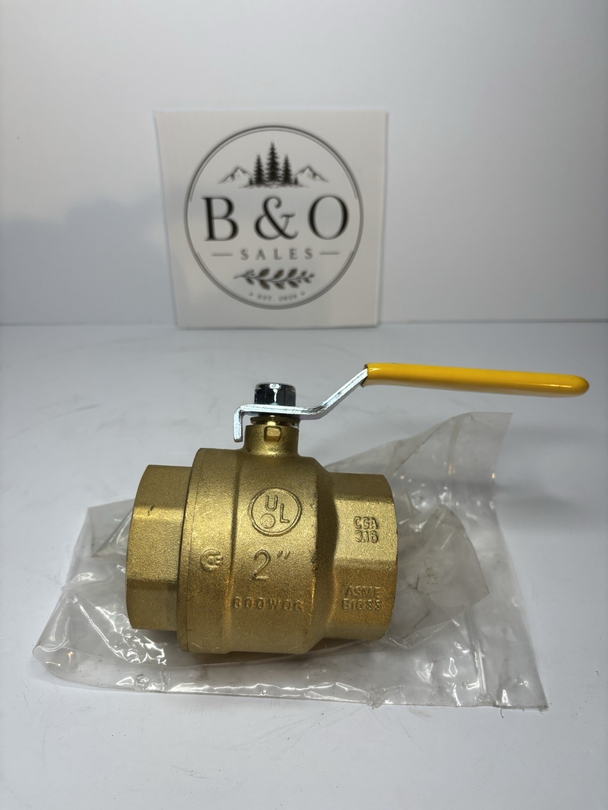 2in Brass Ball Valve: 2 Piece Full Port (600 PSI)