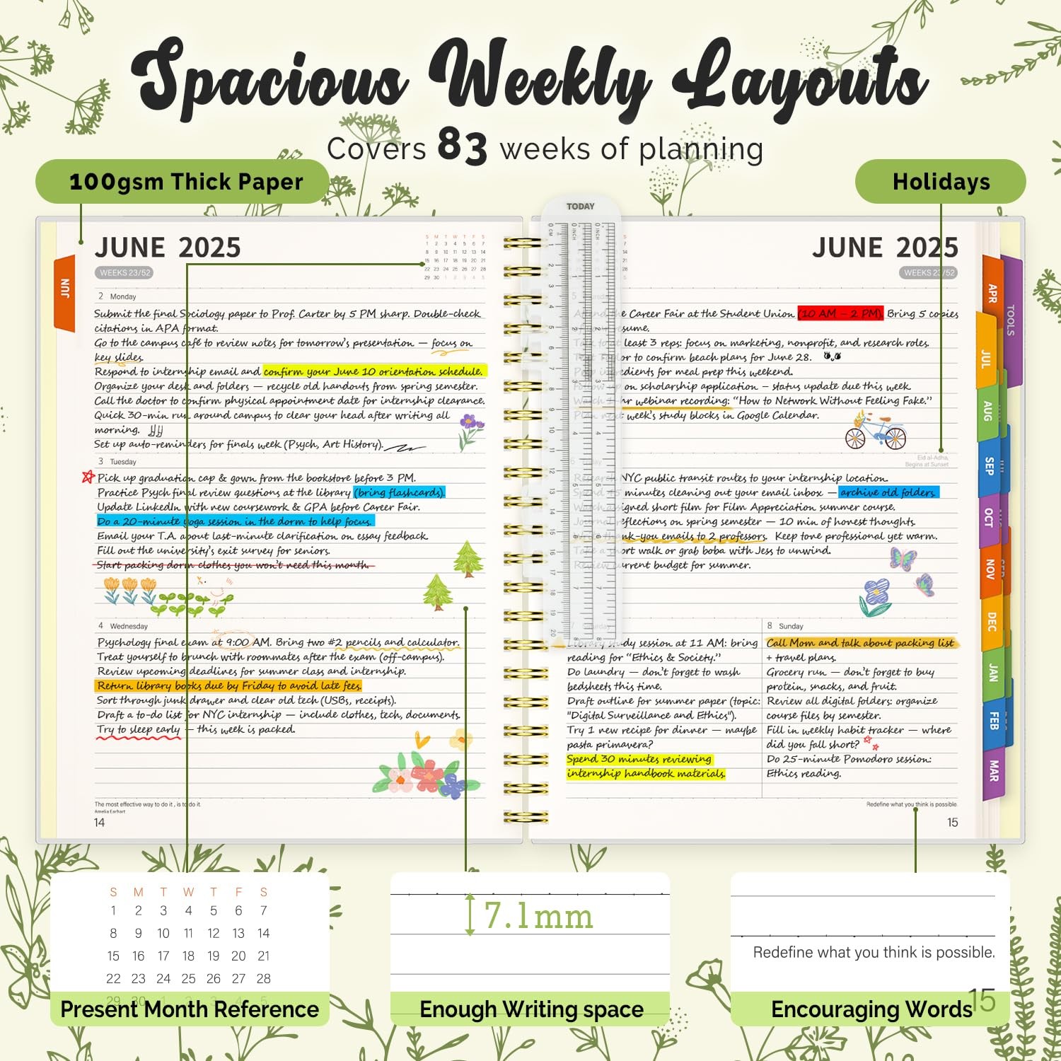 Jun 2025-Dec 2026 Academic Monthly Weekly Daily Planner for School, 19 Months…