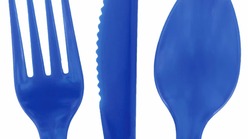 Dark Blue Plastic Utensils, 48-ct. Bags