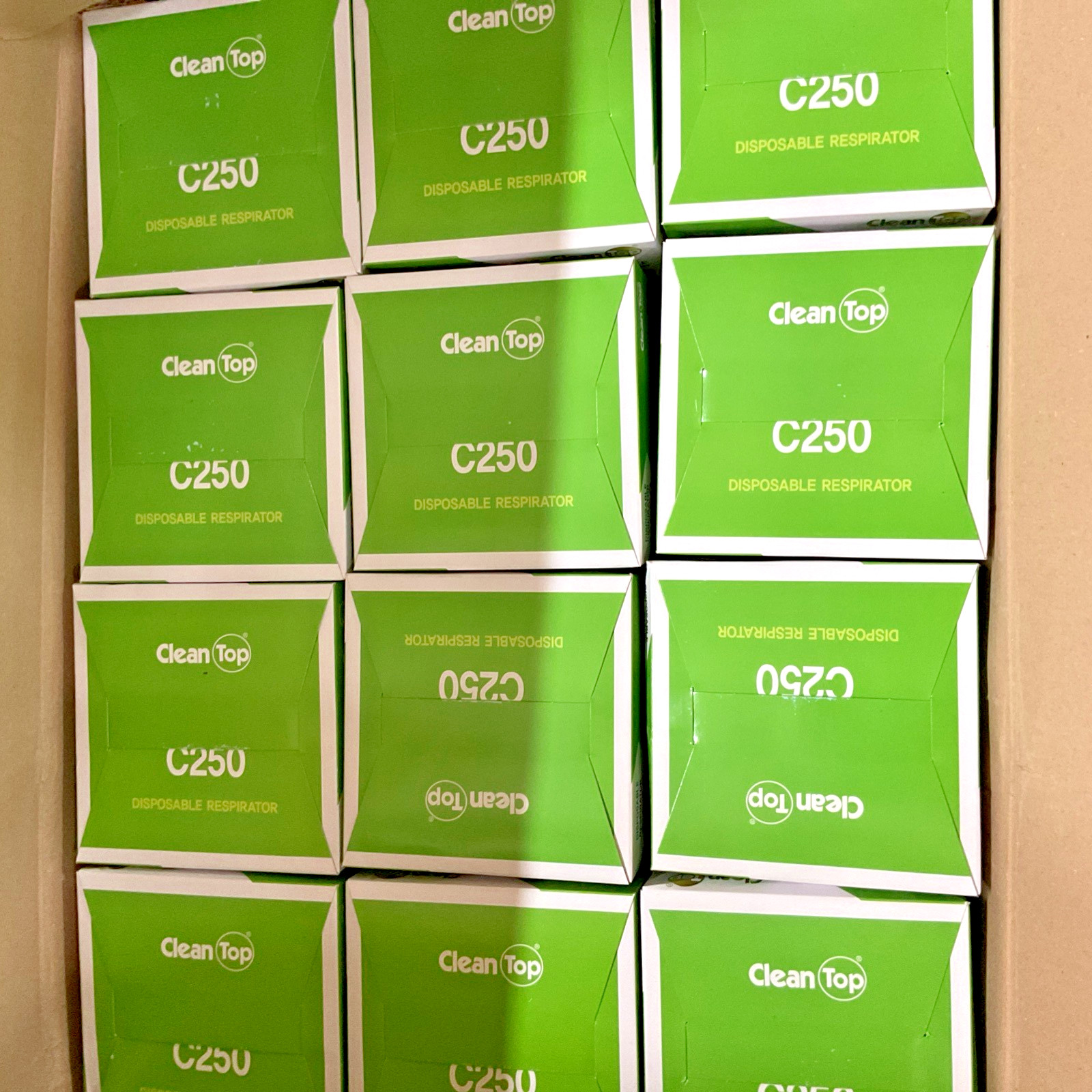 Clean Top Ever Green NIOSH N95 Particulate Respirators 1 CS/24 Boxes of 20