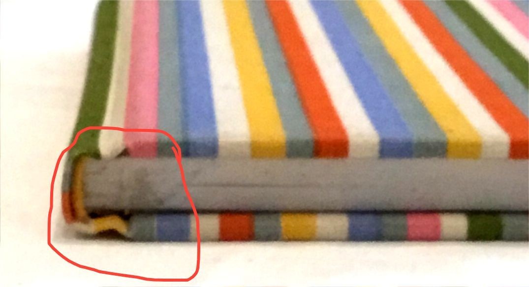 Anything Book Multi Color Striped Notebook