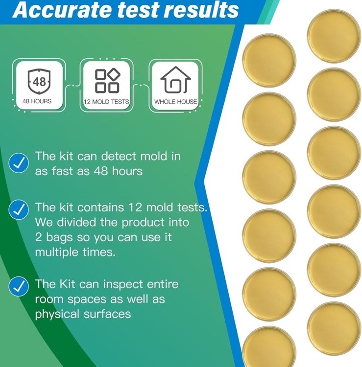 Mold Test Kit for Home – 12 Simple Detection Tests,Test HVAC System,Home Surf…