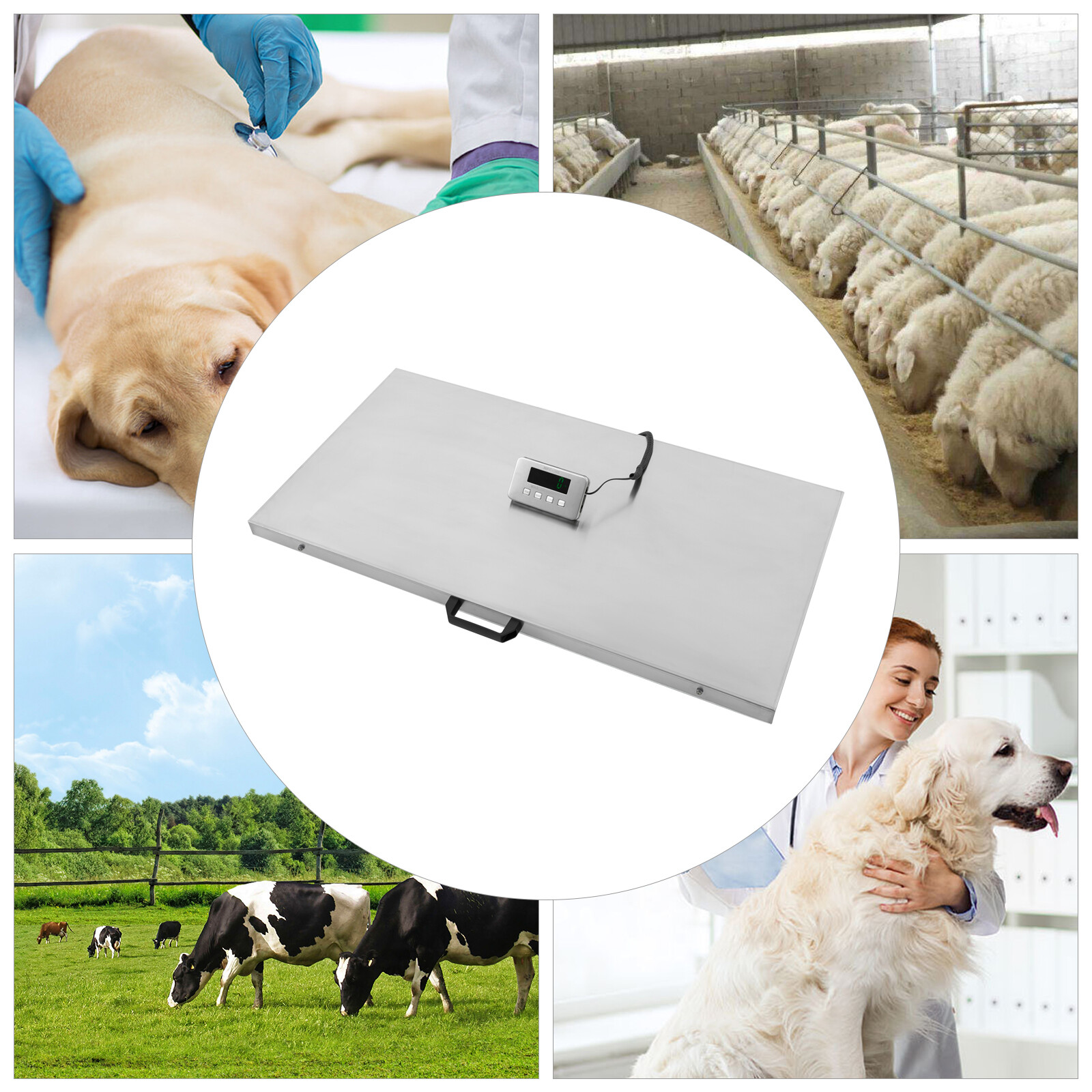 Battery Powerd Digital Livestock Scale Three Unit Kg, Lb,Oz Electronic Pet Scale