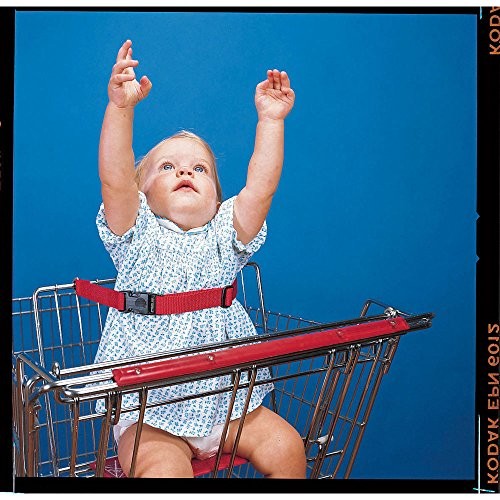 Shopping Cart Warning Imprinted Black Nylon Infant Safety Belt – 21″L