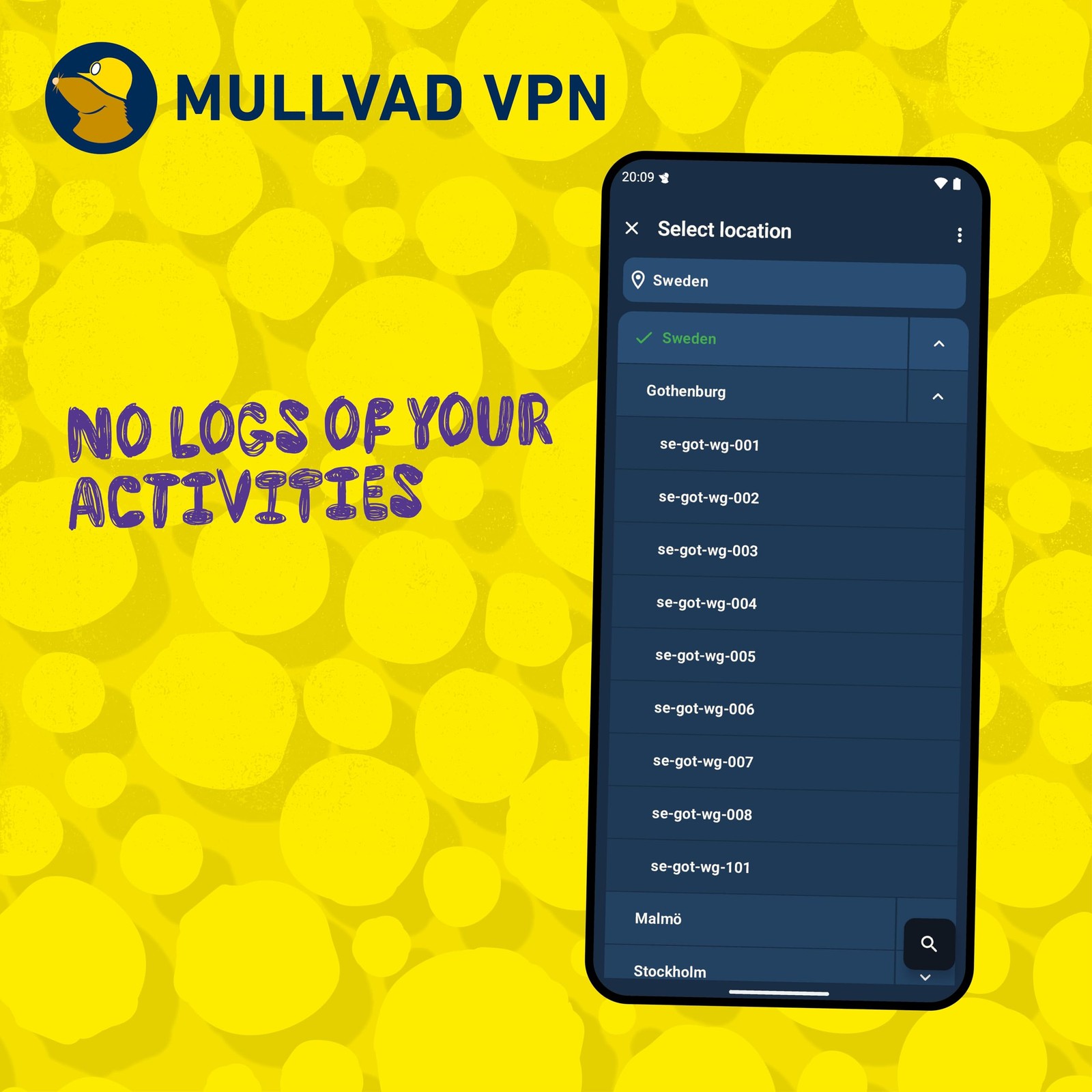 Mullvad VPN 12~Month 5~Device Privacy & Security VPN
