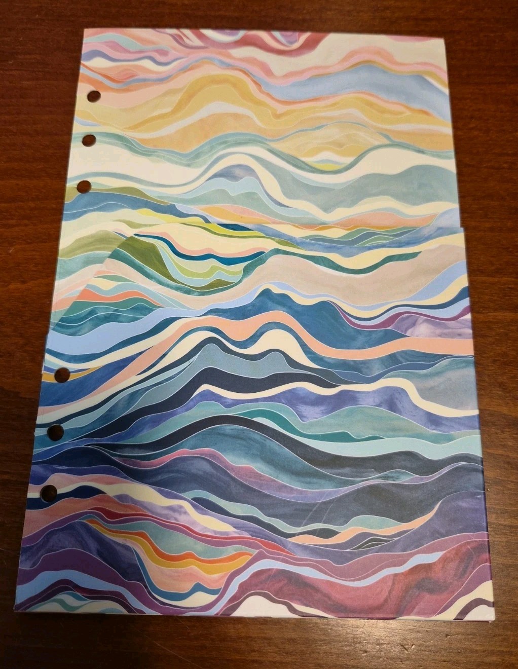 Erin Condren Unused Monthly Weekly And Daily Inserts For The A5 Agenda July 2026