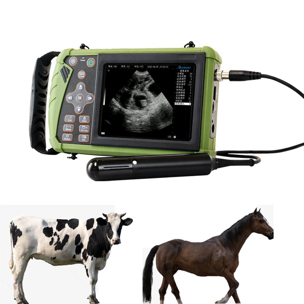 3.5MHZ Rectal &Convex Dual-Use Probe Vet Ultrasound Machine for Cattle and Horse