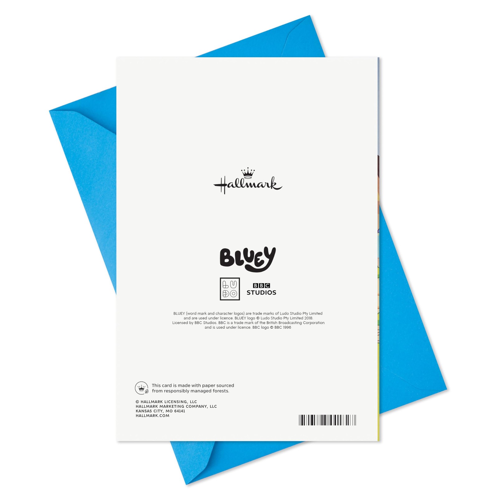 Hallmark Bluey Musical Birthday Card with 5.8 inches x 8.3 inches, Hip Hooray