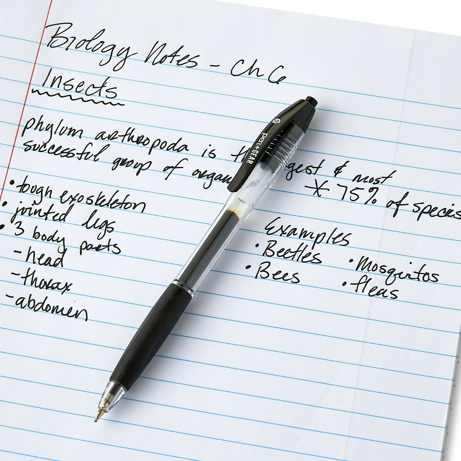 Pen+Gear Retractable Ballpoint Pens, Medium Point,1.0mm, Black Ink, 8 Count 2PK