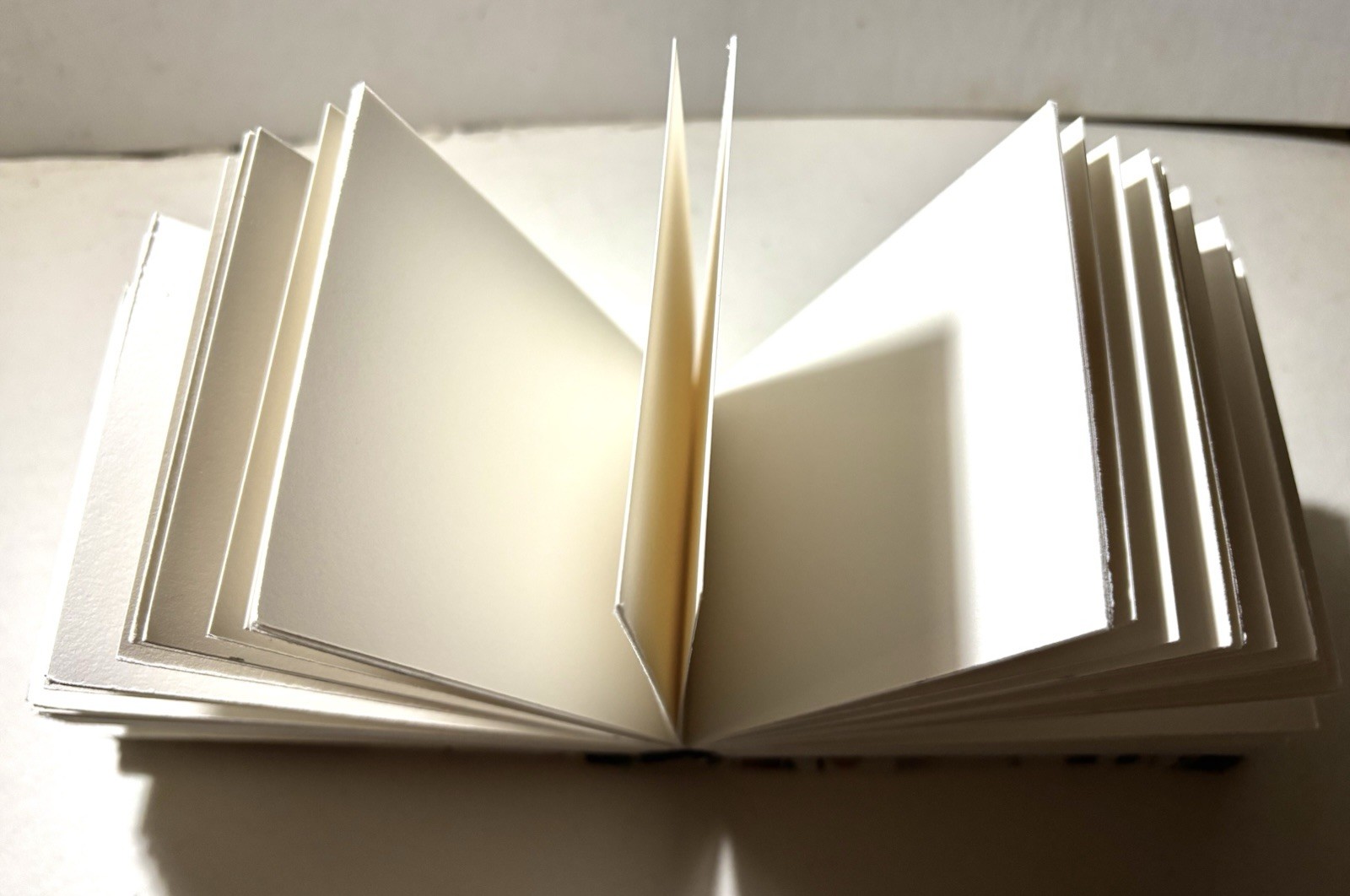 Handmade White Fabric Mushroom Blank Watercolor-book Arches Paper – 6 in. x 4 in