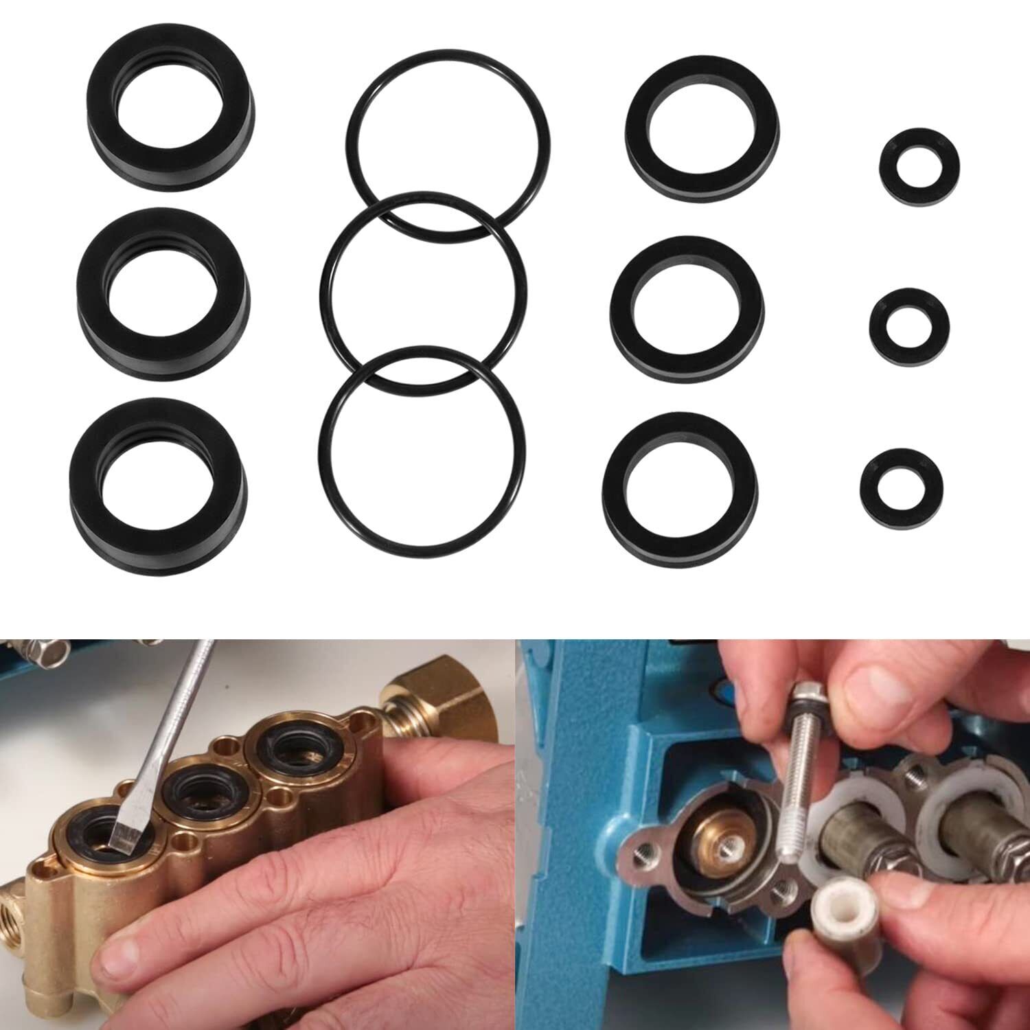 76975 Seal Kit 12Pcs For Cat Pump 4DNX Pumps 4DNX25GSI 4DNX27GSI CAT Seal Kit
