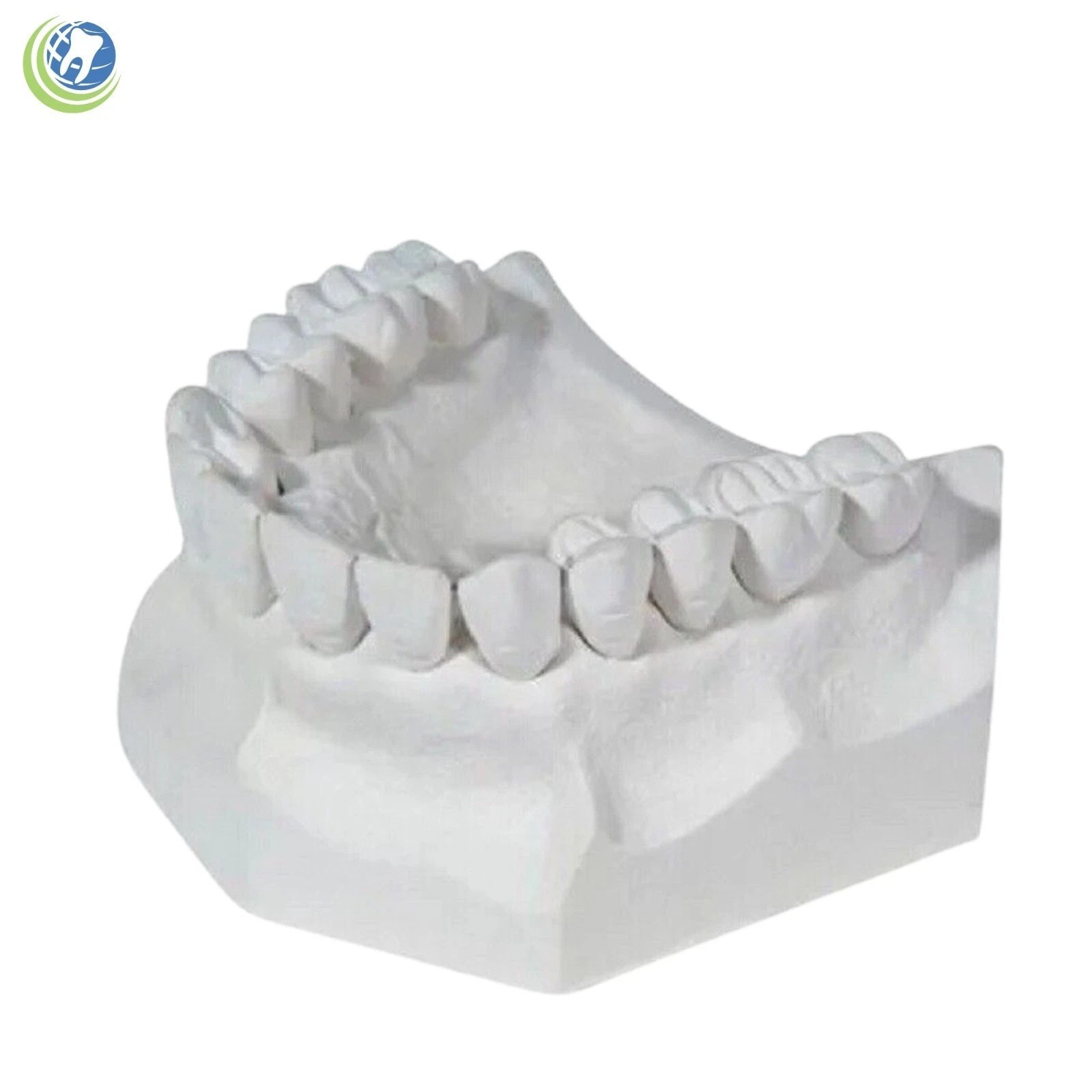 1 to 5 LBS White Dental Plaster Type II Regular Set Gypsum 2-3 Day Delivery