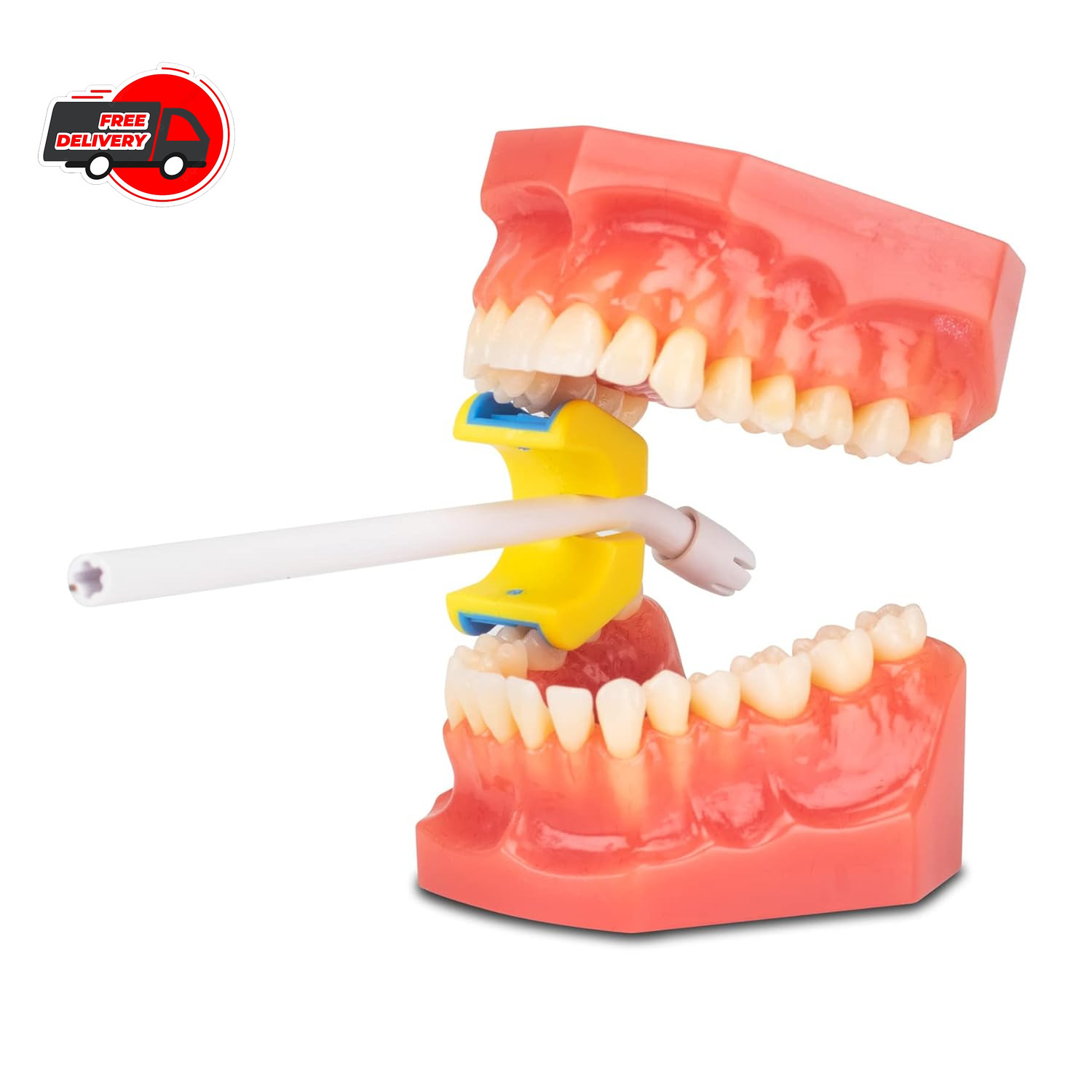 Practicon 7102411 M E-Prop Mouth Props, Medium