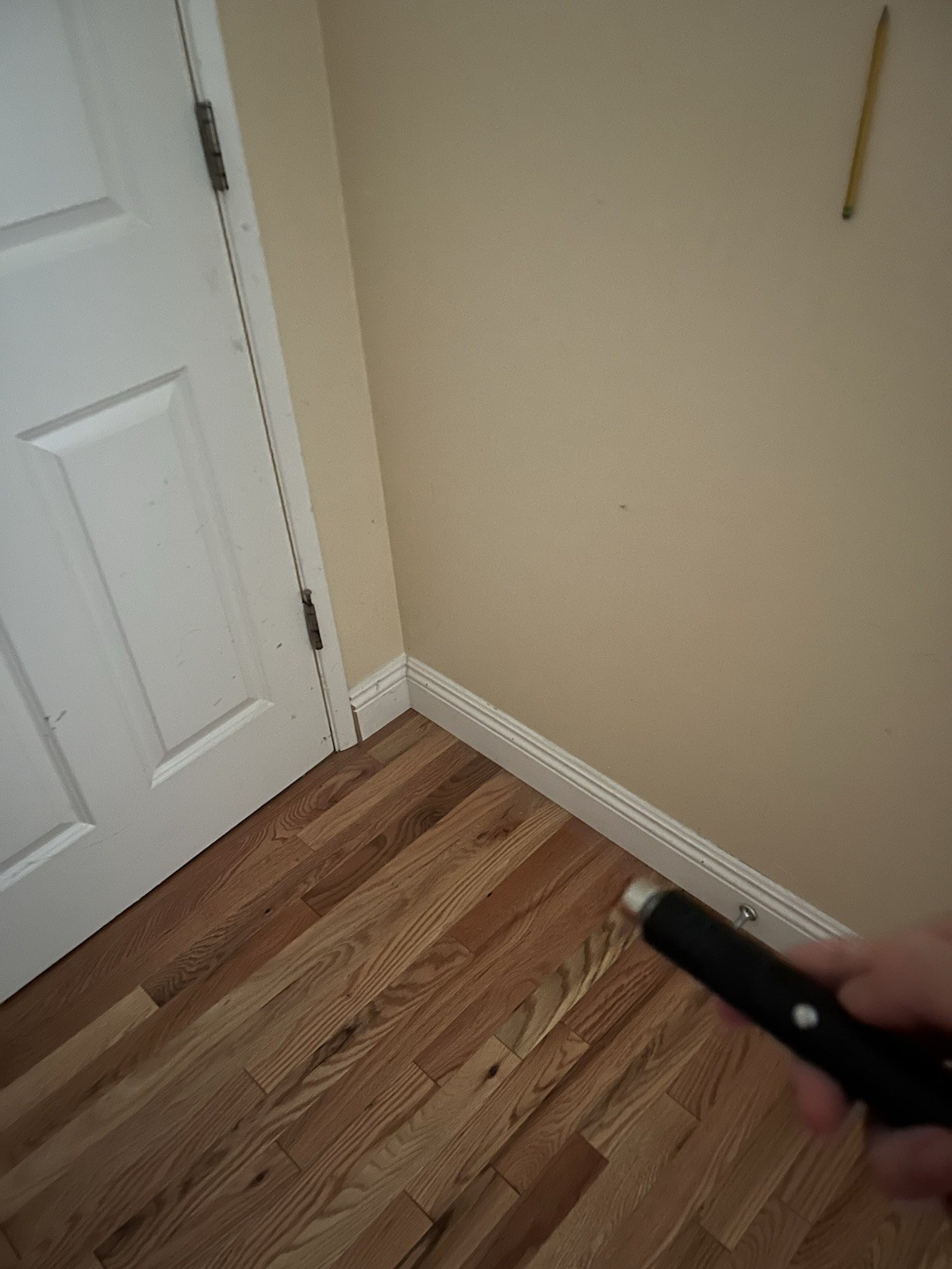 Powerful Green Laser Pointer w/ visible beam for hiking