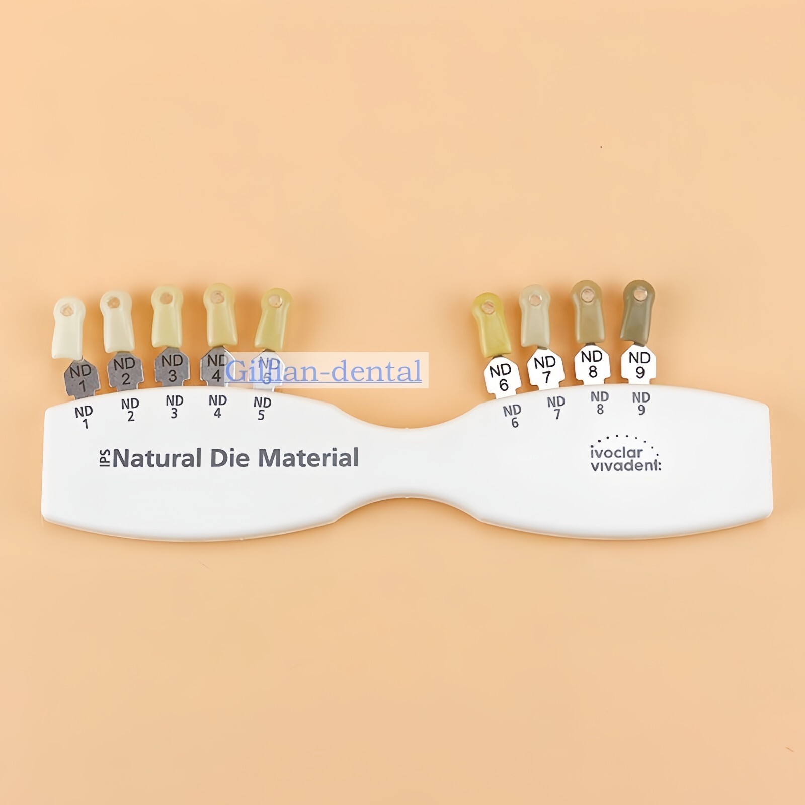 1X Dental IPS Natural Die Material Shade Guide Ivoclar Vivadent ND1-9 Abutment