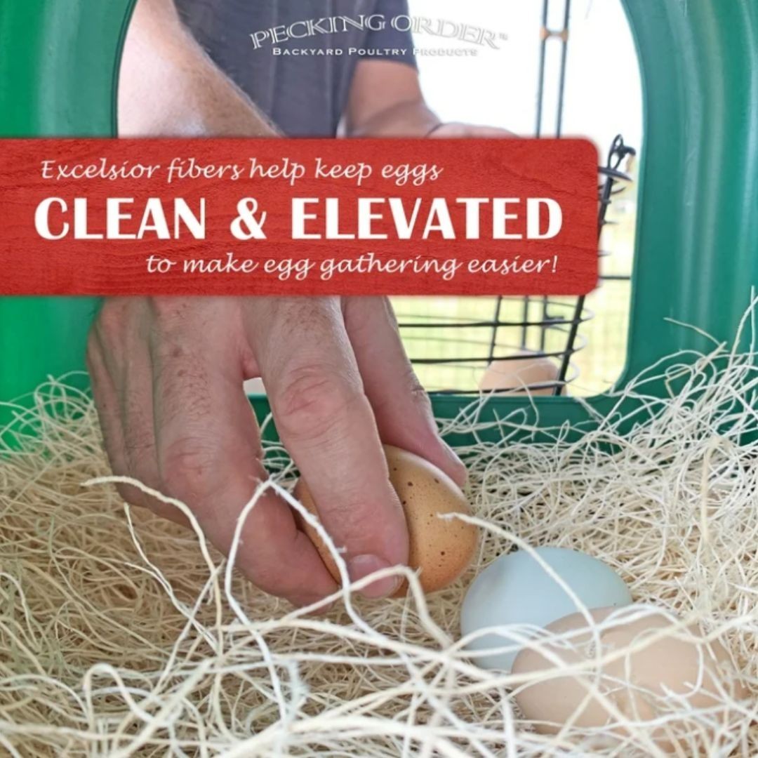 Pecking Order Chicken Nest Box Pads 10 Pack, Made with Great Lakes Aspen Excelsi