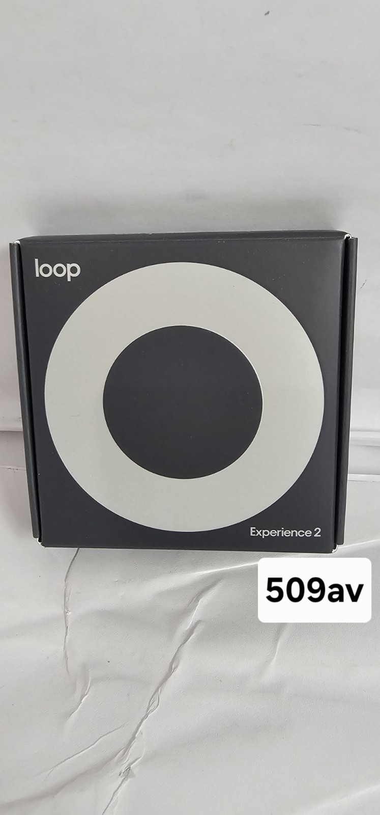 Loop Experience 2 Earplugs – Silver