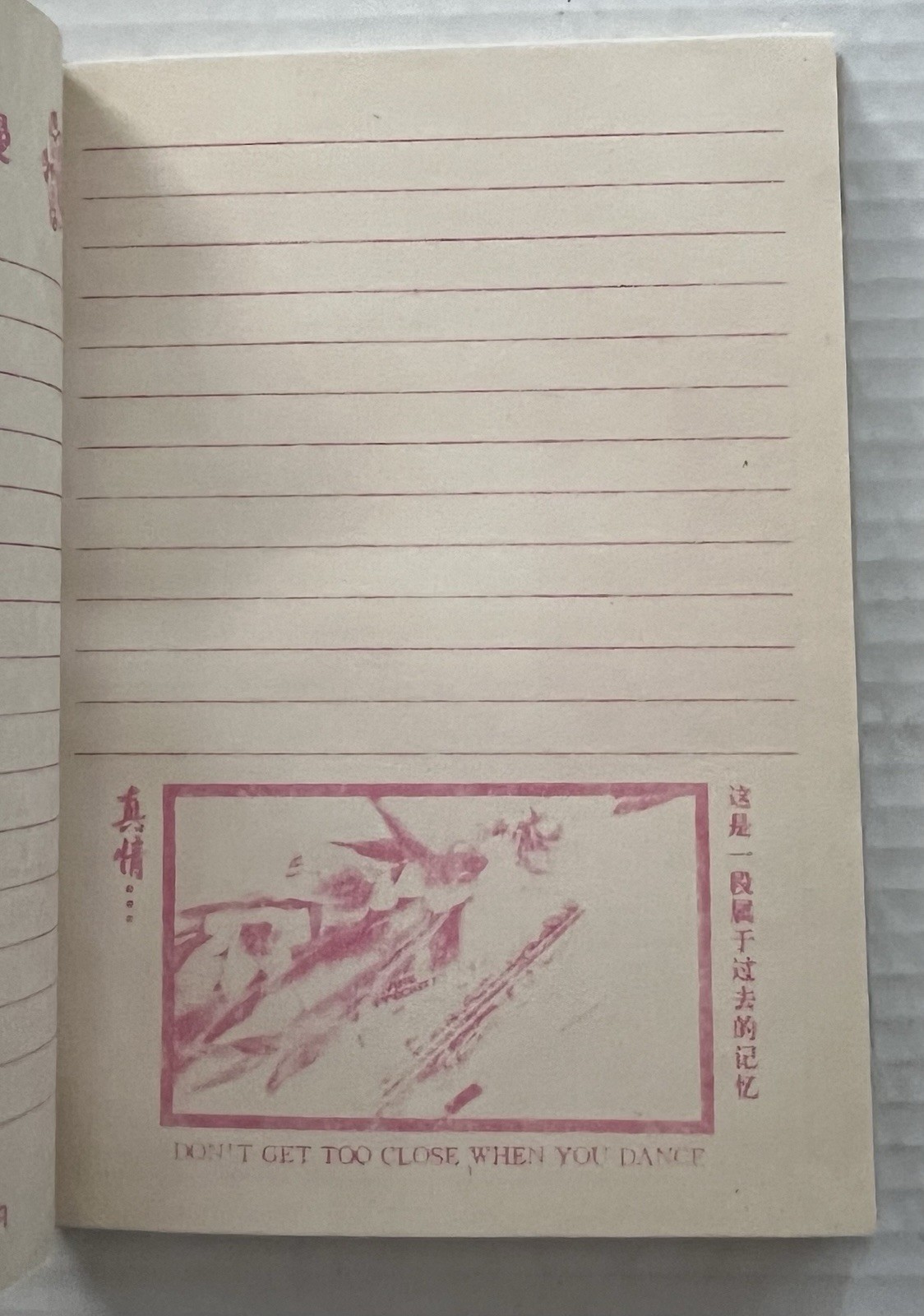 Chinese Journal Blank Book Diary Victorian Theme Flowers Romance Hardcover