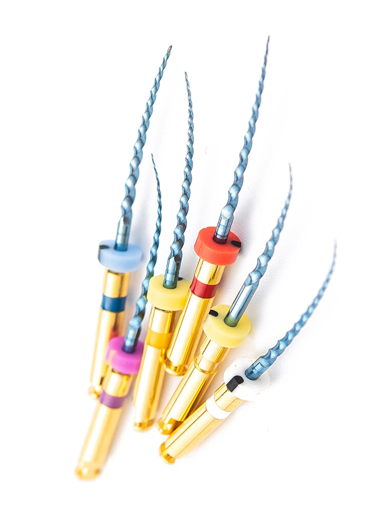 6Pcs Dental Endodontic Rotary Files X-pro Gold taper NITI Motor Tips SX-F3 25MM